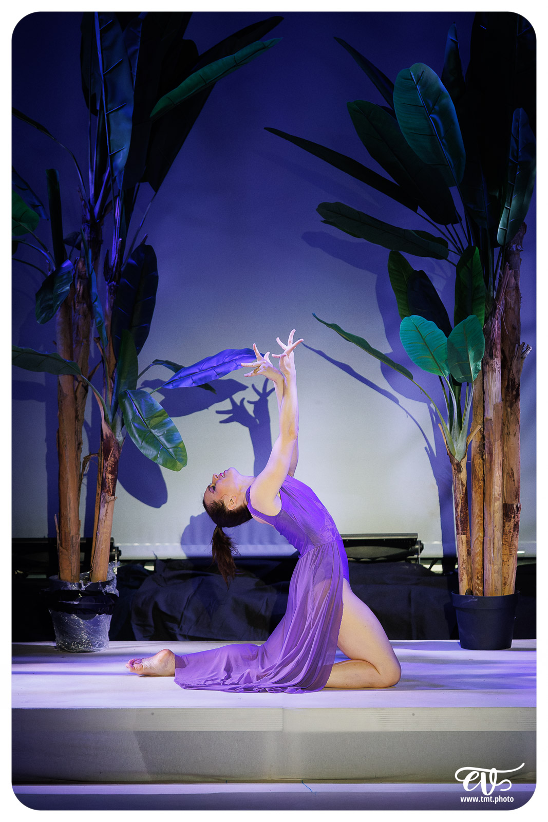 BNS - MILLE ET UNE NUITS